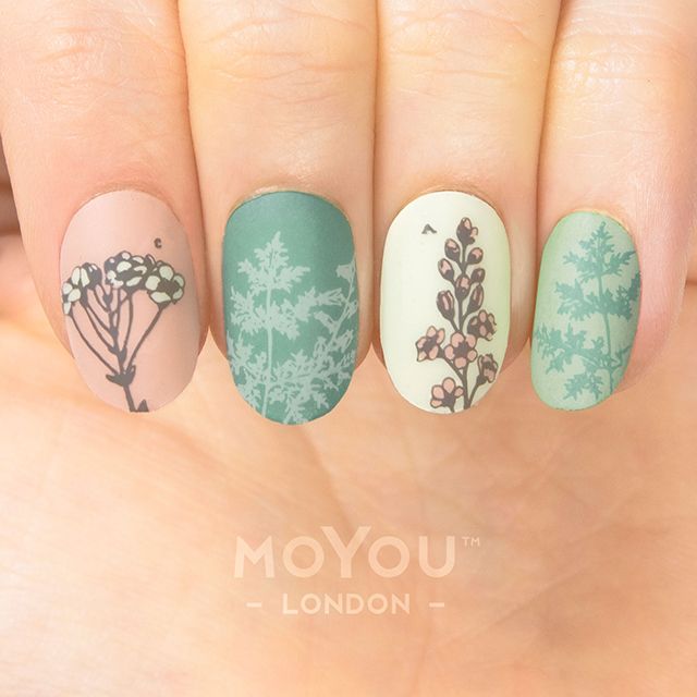 MoYou Stamping Botanical 06